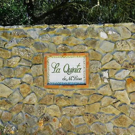 La Quinta De Maria Luisa Guest House Zahora Exterior photo