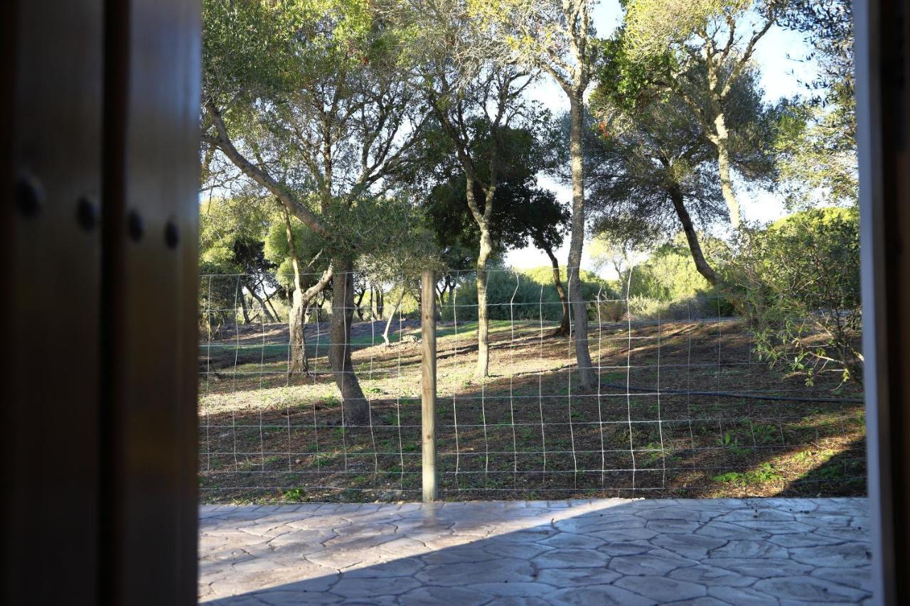 Gospodarstwo wiejskie La Quinta De Maria Luisa Zahora
