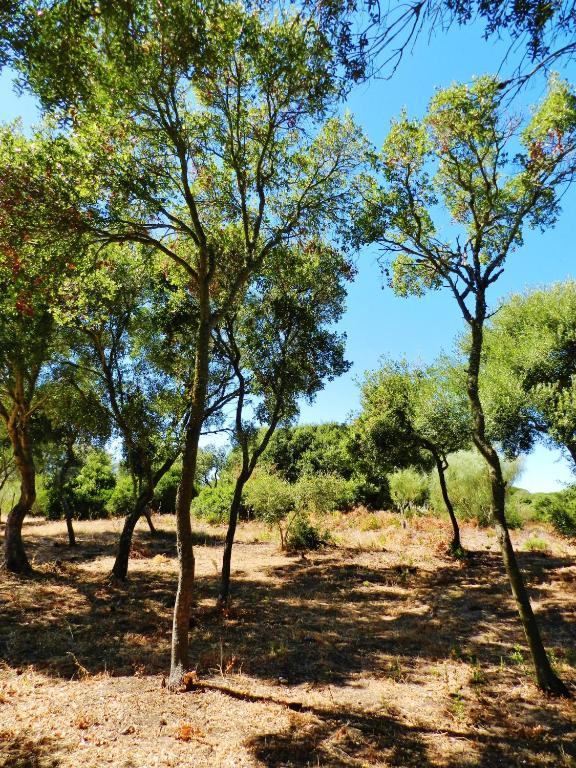 Country house La Quinta De Maria Luisa Zahora
