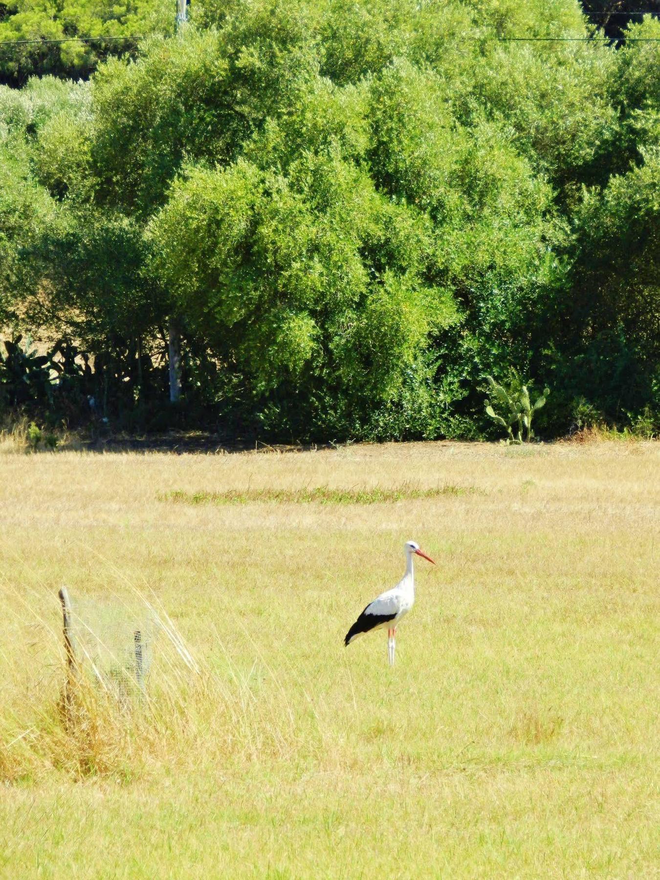 La Quinta De Maria Luisa Country house *